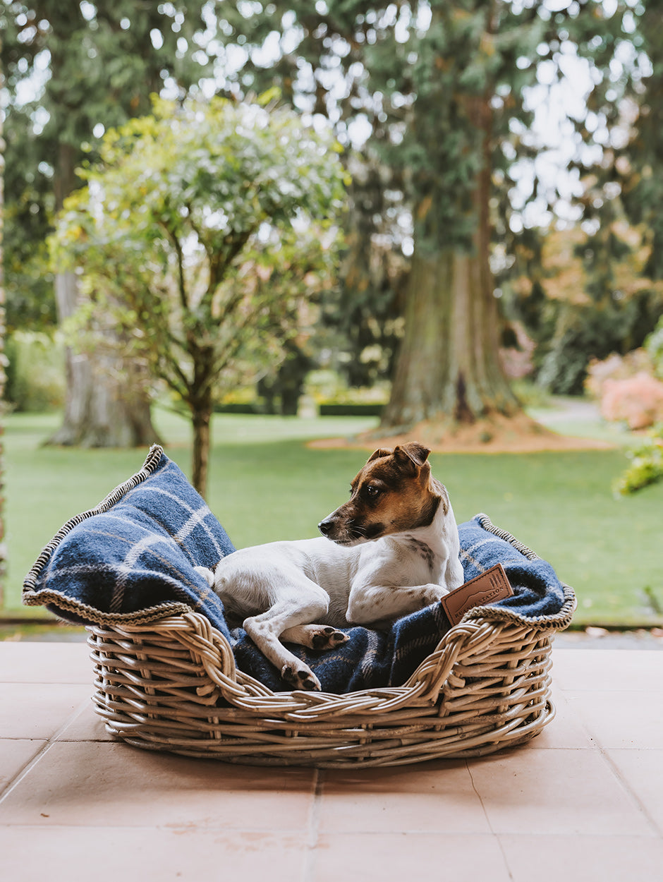 Pet Beds